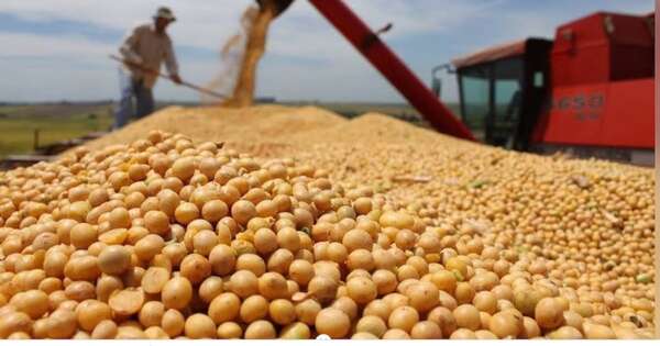 La Nación / Advierten sobre impacto de huelga brasileña en el comercio agrícola nacional