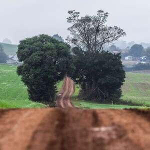 Rally FIA/Codasur-Brasil: Paraguayos siempre en Erechim - ABC Motor - ABC Color