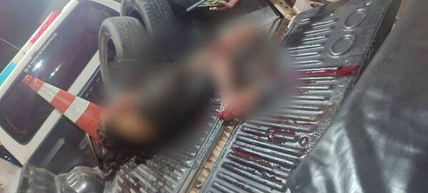 Un hombre falleció tras ataque de pitbull en Mariano Roque Alonso
