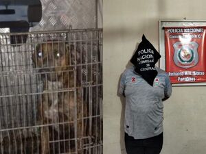 Detienen al dueño del pitbull que atacó vaipaite a dos hombres. Uno murió