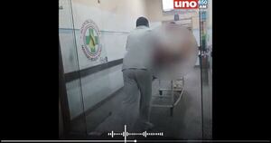 La Nación / Sangriento episodio: un hombre muere tras feroz ataque de pitbulls