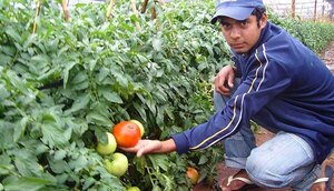 BCP presentó la actualización de la canasta del Índice de Precios del Productor