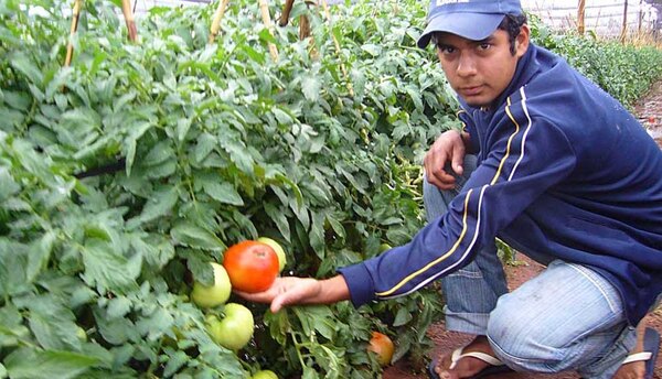 BCP presentó la actualización de la canasta del Índice de Precios del Productor
