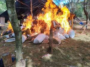 Concepción: destruyen centro de acopio y procesamiento de marihuana; perjuicio rondaría los 900 mil dólares - Nacionales - ABC Color