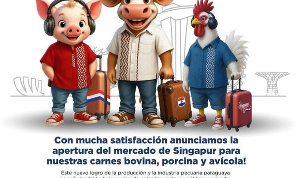Carnes bovina, porcina y avícola paraguaya irán a Singapur