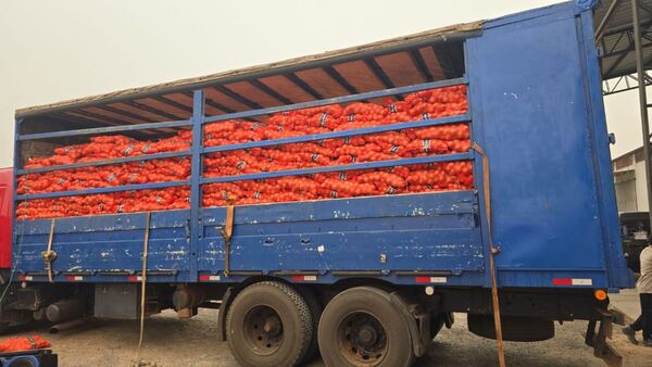 DNIT incaut贸 10.000 kilos de cebolla que ingresaron al pa铆s de contrabando