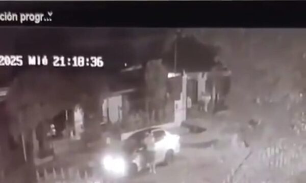 (Video) Familia de Limpio busca a su conejo que fue llevado en un auto