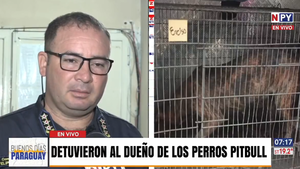 Ataque mortal de perros pitbull: Uno de los dueños está detenido y sería imputado por homicidio doloso