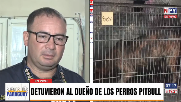 Ataque mortal de perros pitbull: Uno de los dueños está detenido y sería imputado por homicidio doloso