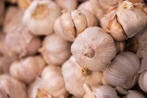 La reactivación del cultivo de ajo es un hecho en Paraguay