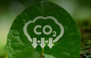 Sumate al programa AL-INVEST Verde de la Unión Europea