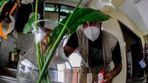 Advierten sobre circulación de serotipo de dengue que podría causar una nueva epidemia