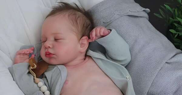 La Nación / Una mujer acudió a una consulta médica con un bebé reborn
