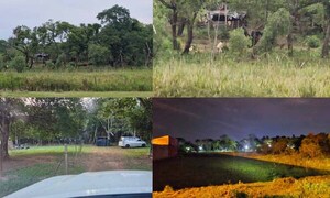 Suspenden juicio por invasión de inmueble en Coronel Oviedo – Prensa 5