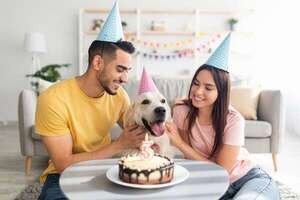 “Humanizar” a los perros es “agredir la naturaleza”, según adiestrador   - Nacionales - ABC Color