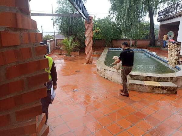 AUDIO: Caso del hombre que murió tras ser atacado por un perro: Defensa Animal aún no encontró a los otros canes - Periodísticamente - ABC Color