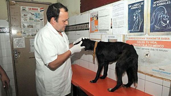 Realizan investigación epidemiológica, tras ataque de pitbull en Mariano