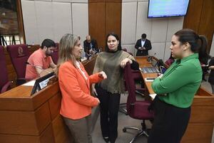 Aunque sea testimonial, diputada opositora dice que hay que impulsar juicio contra contralor - Política - ABC Color