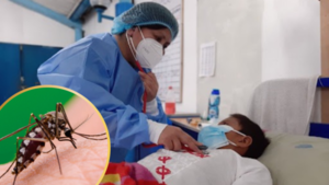 Tres serotipos de dengue circulan en Paraguay y crece la amenaza de brotes severos