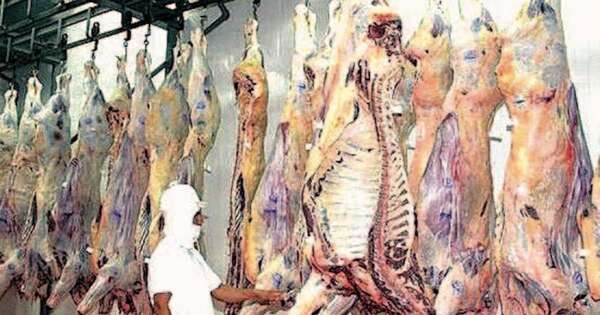 La Nación / Paraguay tiene la carne más natural del mundo, afirma Burt