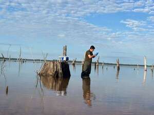 Lago Yguazú: Realiza verificación tras denuncias por alteración en el color del agua - Nacionales - ABC Color