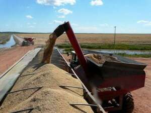 ¿Cuánto impactan las cooperativas en la producción? - ABC Campo - ABC Color