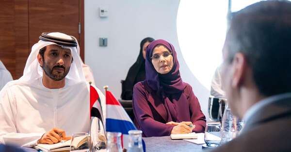 La Nación / Peña promueve potencial energético ante sector de IA de Emiratos Árabes