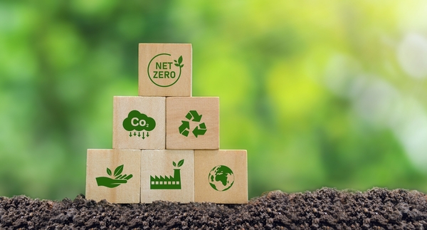 Paraguay firma acuerdo con Singapur y entra al mercado global de créditos de carbono - ADN Digital