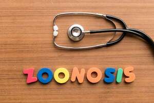Zoonosis: qué enfermedades pueden transmitirte tus mascotas (y cómo prevenirlo) - Mascotas - ABC Color