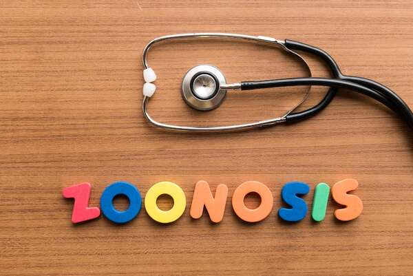 Zoonosis: qué enfermedades pueden transmitirte tus mascotas (y cómo prevenirlo) - Mascotas - ABC Color