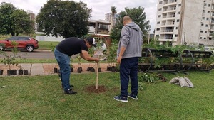 Reforestación en Encarnación: 350 nuevos árboles para un futuro más verde