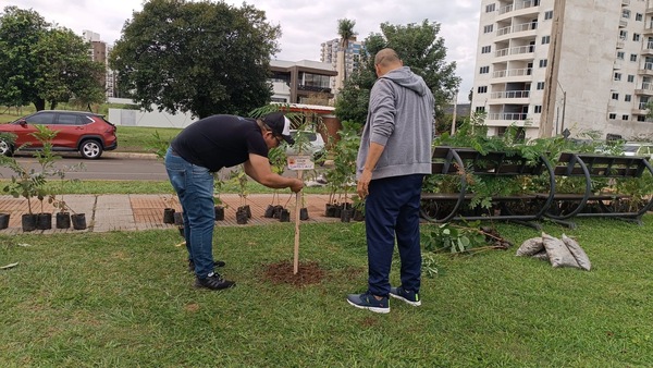Reforestación en Encarnación: 350 nuevos árboles para un futuro más verde