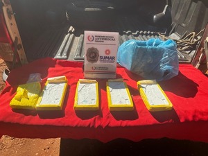 Incautan casi 5 kilos de cocaína en Concepción - 1000 Noticias