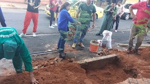 Comunidad y Municipalidad reforestan barrio Las Mercedes
