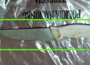 Dos personas detenidas por el intento de jejuka por venganza