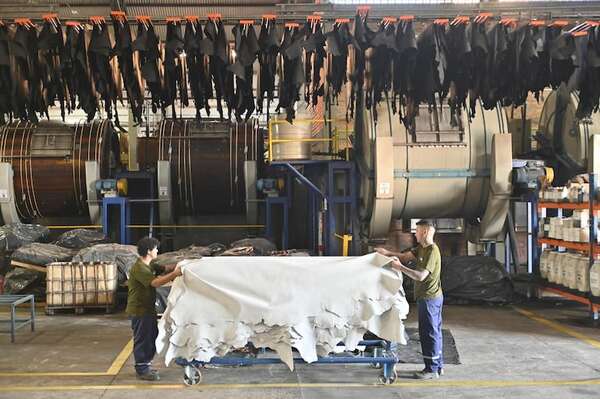 La industria del cuero apuesta a sistema de trazabilidad para sostener el mercado de la UE - Economía - ABC Color