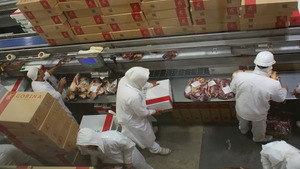 Las exportaciones de carne argentina crecieron 17,1% en abril