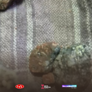 ¿Hallazgo de oro en Caapucú? La postura cautelosa del Viceministerio de Minas y Energía - TVS