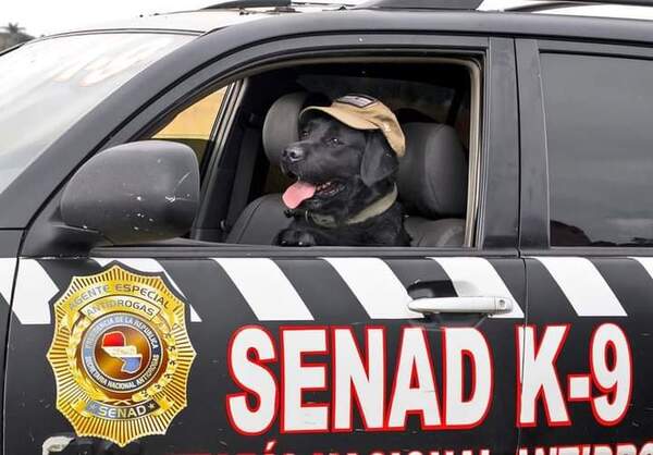 ¡“Rocky” se retira con honores de la Senad! - trece