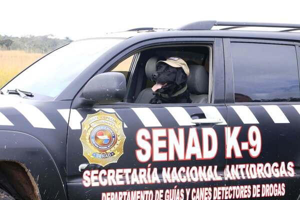 Se jubiló Rocky, un can antidroga de la Senad •
