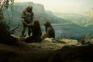 Hallan huella dactilar neandertal, la más antigua del mundo - Mundo - ABC Color
