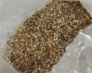 Investigan posible hallazgo de oro y cobre en Caapucú