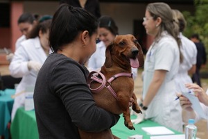 El Programa Nacional de Control de Zoonosis y el Centro Antirrábico Nacional ofrecen servicios veterinarios gratuitos en San Lorenzo - .::Agencia IP::.
