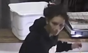 Cámaras instaladas un día antes del robo permitieron identificar a pareja que robó alimentos de Hambre Cero - OviedoPress