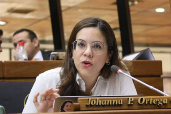 Diputada Johanna Ortega accionará penalmente contra Javier Zacarías Irún