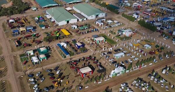 La Nación / Expo Pioneros: lecheros apuestan a mostrar potencial en la muestra