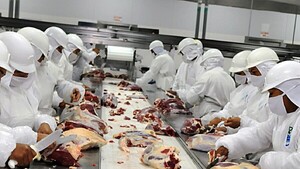 Paraguay avanza en proceso para exportar carne a Japón