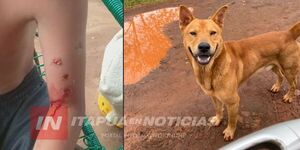 NIÑO FUE ATACADO POR UN PERRO EN EL B° CHAIPÉ DE ENCARNACIÓN 