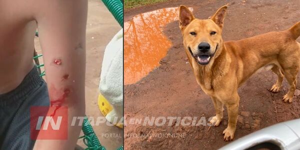 NIÑO FUE ATACADO POR UN PERRO EN EL B° CHAIPÉ DE ENCARNACIÓN