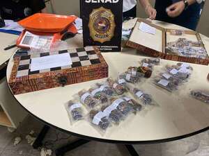 Jaque mate a la reina blanca: cae carga de cocaína en piezas de ajedrez